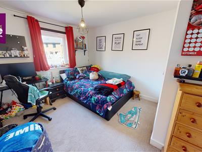 Picture 16